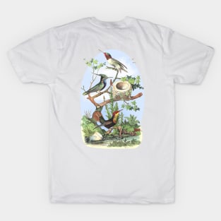 Hummingbirds Illustration T-Shirt